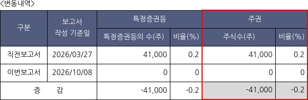 나노팀