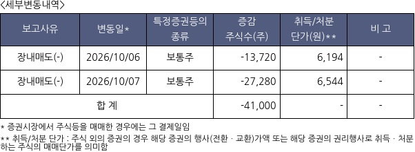 나노팀